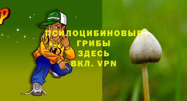 PSILOCYBIN Абинск