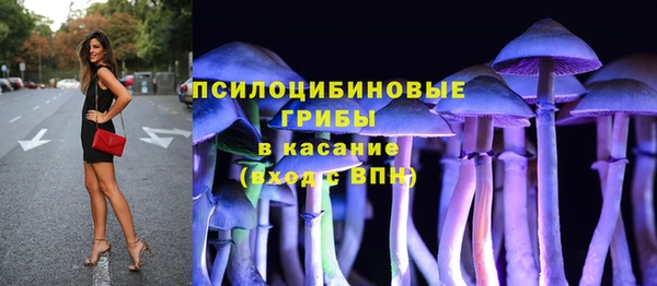 дживик Алексин