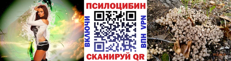 хочу   Берёзовка  МЕГА вход  Галлюциногенные грибы прущие грибы 